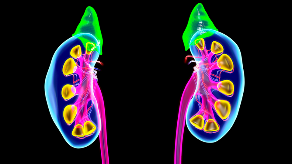 northwestern-medicine-medical-breakthroughs-january-25