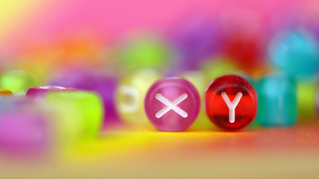 Two beads, one with an X and the other with a Y