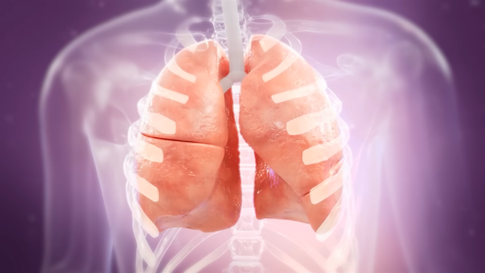 northwestern-medicine-medical-milestones-top-story-may-25