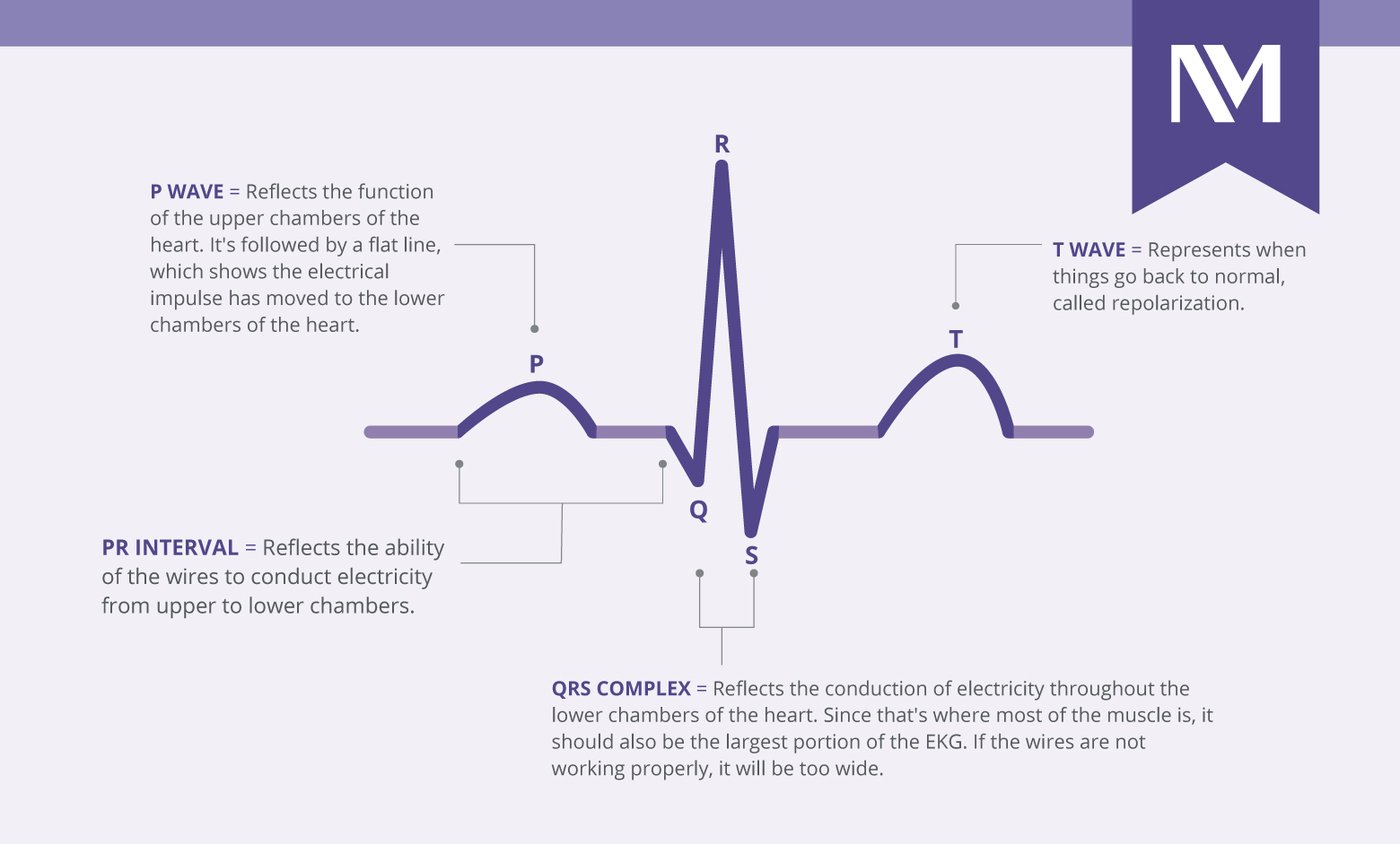 Infographic Parts Of The Ecg Wave Tech Infographic In - vrogue.co
