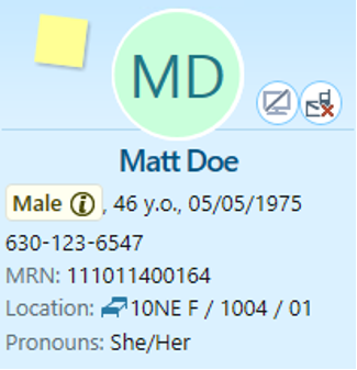 Screenshot of health record showing gender, age and pronouns of patient.