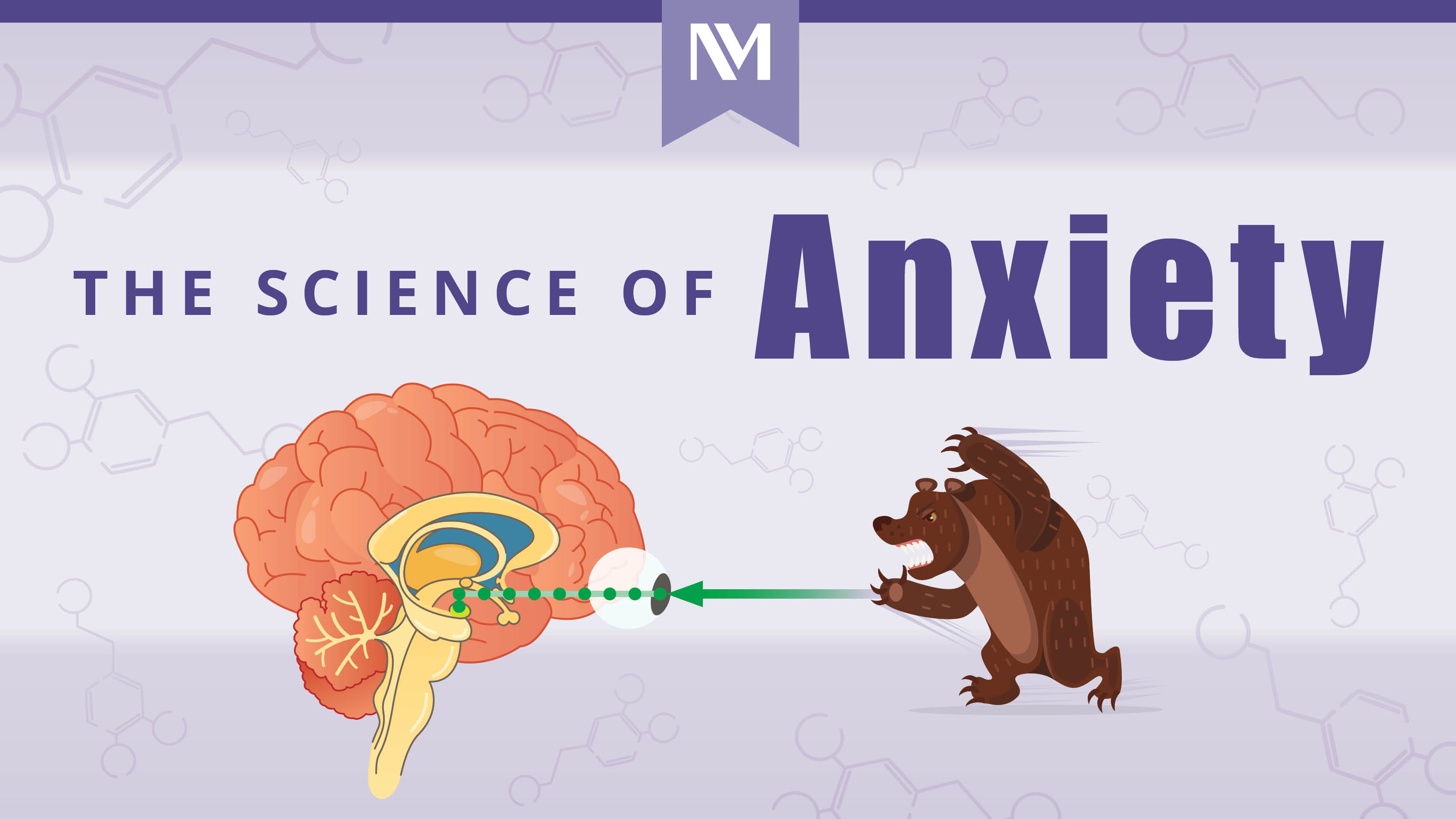 Why Is Anxiety So Common Today?