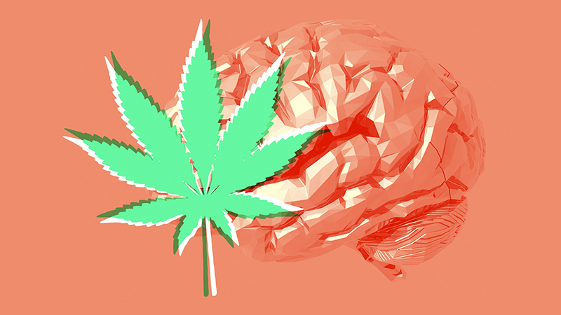 Quick Dose: What Does Marijuana Do To Developing Brains? | Northwestern ...