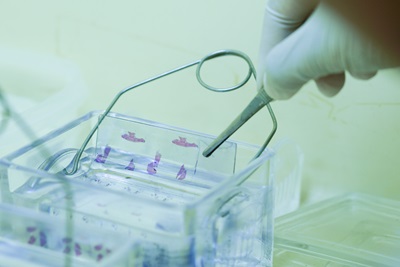 northwestern-medicine-histotechnology-image-5