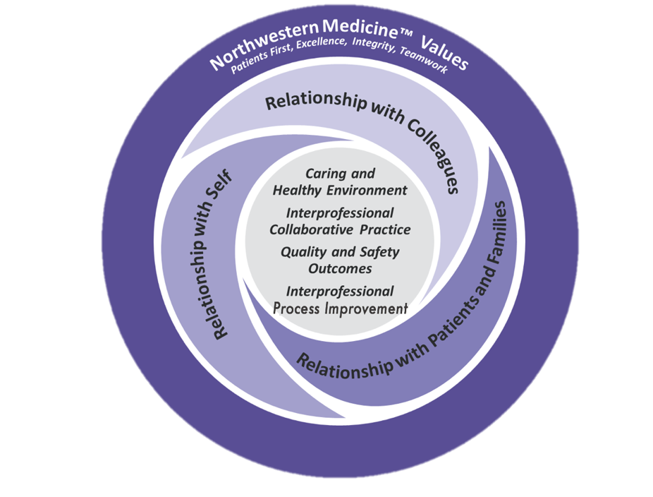 northwestern-medicine-delnor-ppm-2