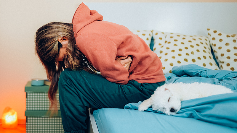 A person with stomach pain hanging out at home with their white dog.