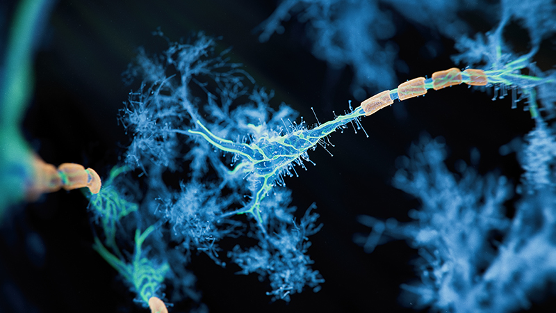  3D rendered image of a neuron cell network on black background.