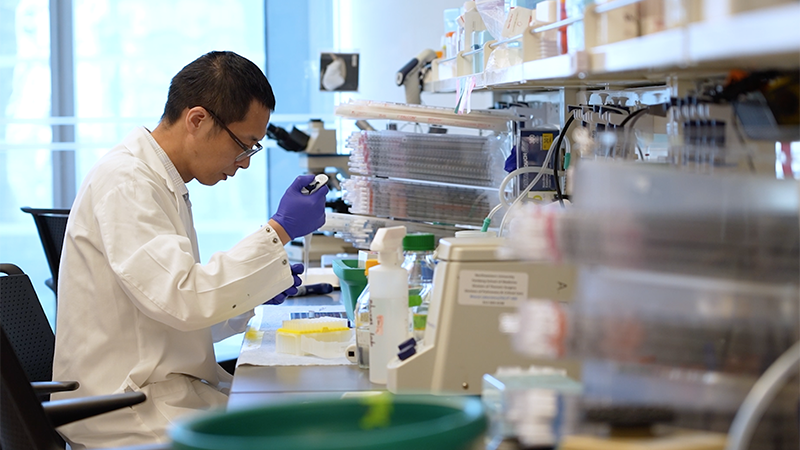 Scientist wearing a white coat working in a laboratory. 