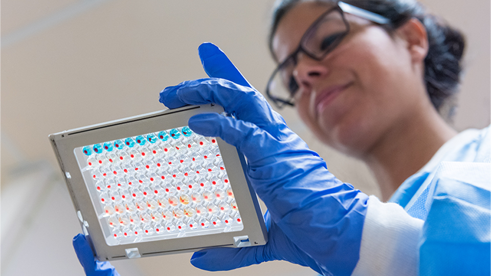 A scientist performing research